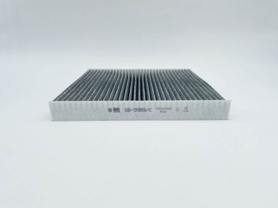 Фильтр салонный BIG FILTER GB-9989/C